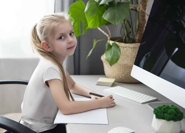 Quelles astuces pour apprendre à un chien de race Rhodesian Ridgeback à ne pas tracter en laisse?